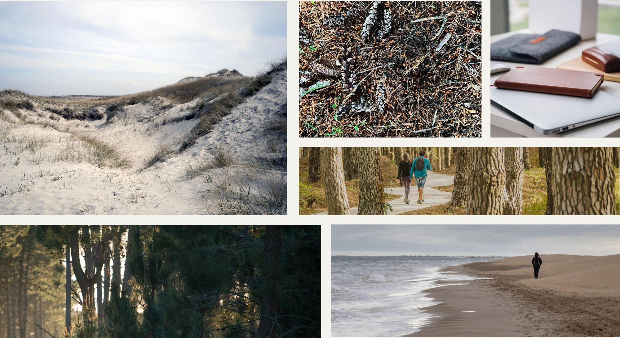 Moodboard Propuesta 02 — dunas, bosque de pinos, costa y materiales nobles