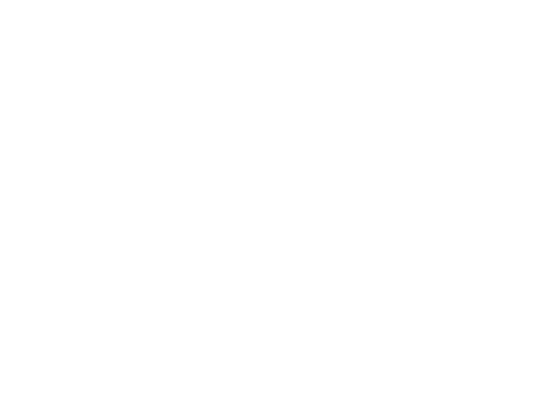 Isologo de INFINITA, la «N»
